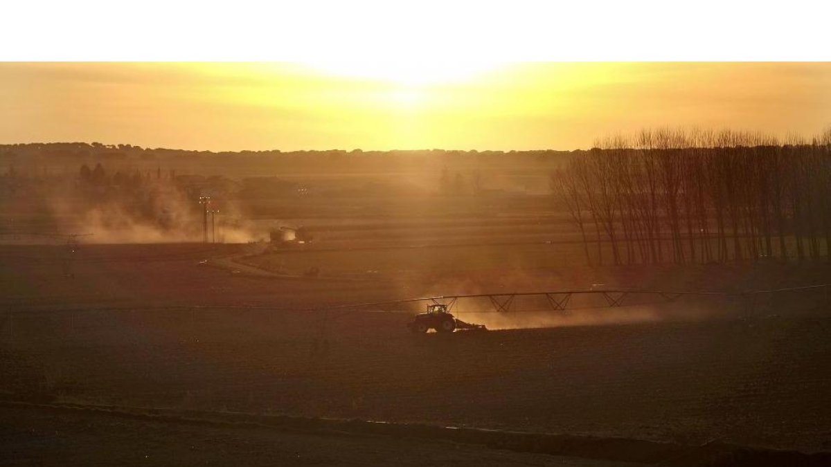Varios trabajadores realizan labores agrícolas al atardecer en la localidad salmantina de Villamayor.-ENRIQUE CARRASCAL