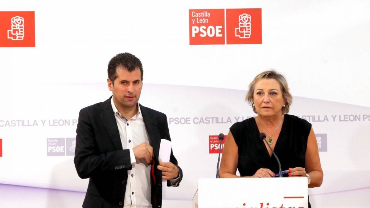 El secretario general del PSOE de Castilla y León y portavoz en las Cortes, Luis Tudanca, y la secretaria de Sanidad de la Comisión Ejecutiva autonómica, Isabel Fernández Marassa.-ICAL