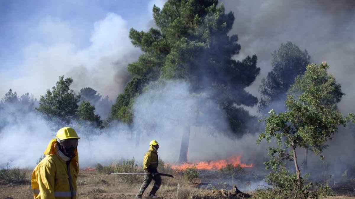 Un grupo de bomberos intenta sofocar el fuego declarado en Barcebalejo(Soria)-Ical