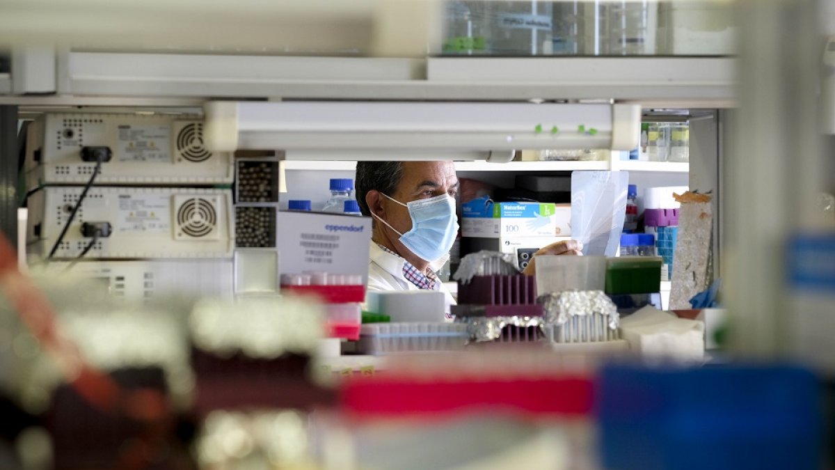 El investigador Isidro Sánchez en las instalaciones del Centro del Cáncer de Salamanca. ENRIQUE CARRASCAL