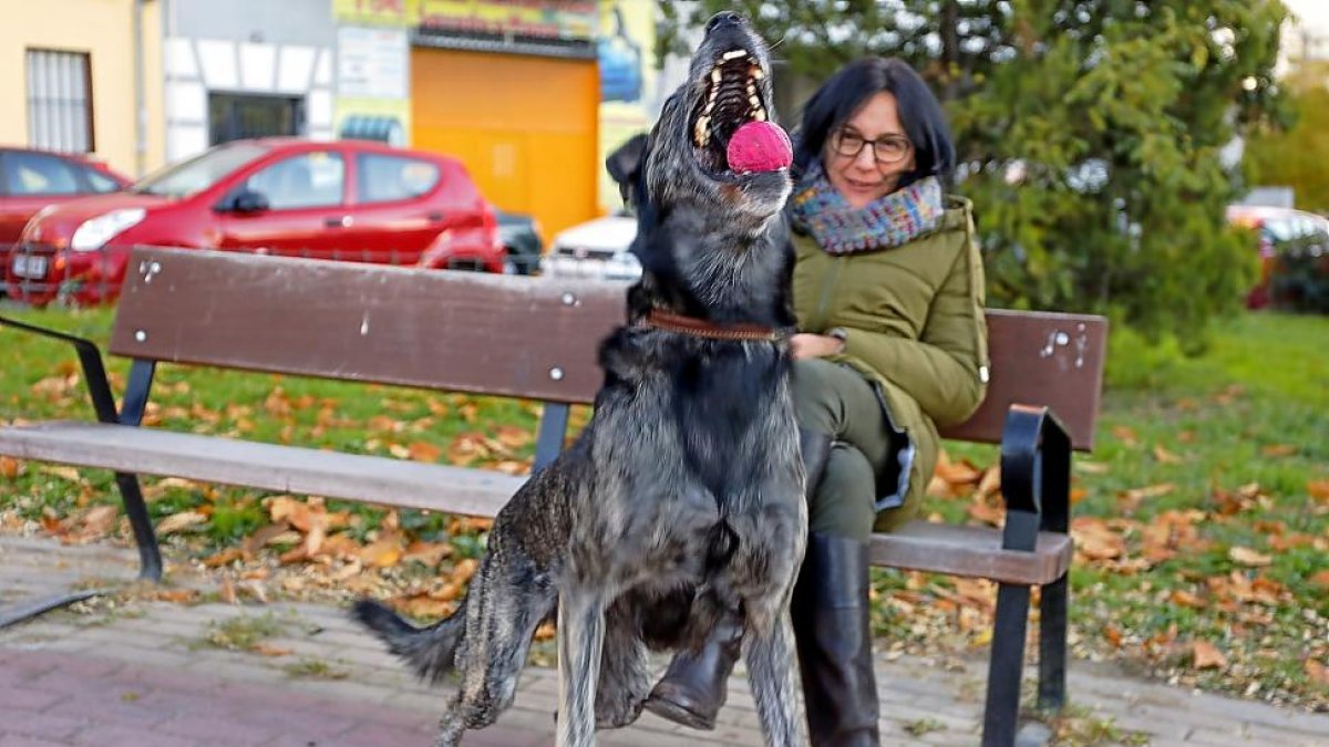 Alicia, con Tata, la perra mestiza que adoptó cuando ésta se encontraba en el geriátrico canino de la base aérea de Villanubla.-RAQUEL P. VIECO