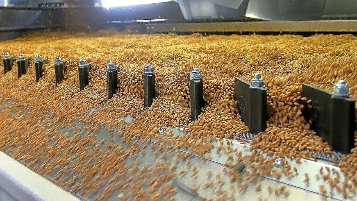 Mesa de densidad de cereales.-BRÁGIMO