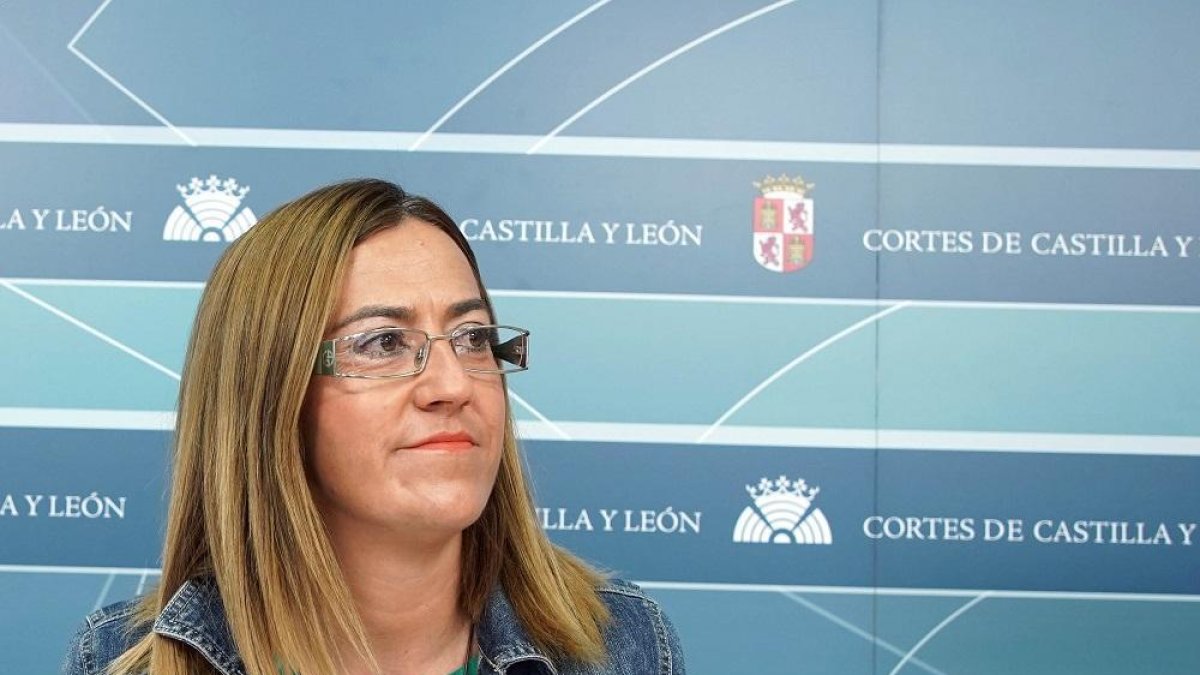 La vicesecretaria general del PSOE de Castilla y León y viceportavoz del Grupo Socialista en las Cortes, Virginia Barcones, informa de asuntos de la actualidad política de la Comunidad-ICAL
