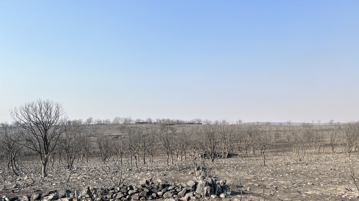 Devastadora imagen del incendio de Losacio en Zamora. ICAL