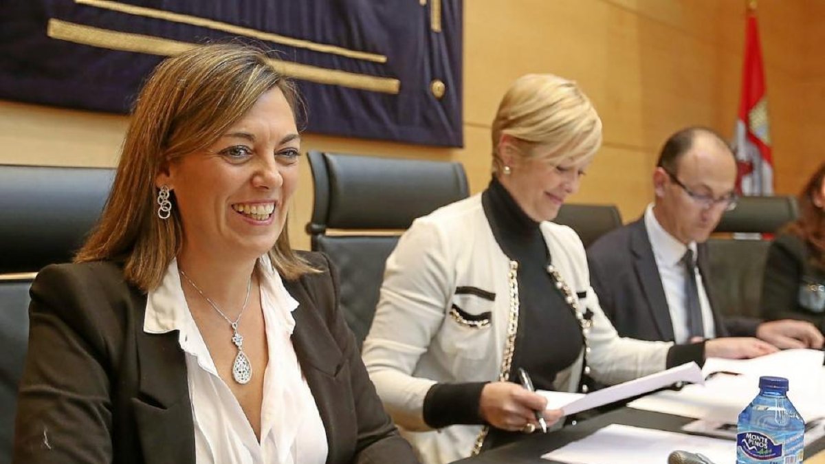 La consejera de Agricultura y Ganadería, Milagros Marcos, antes de iniciar su comparecencia en la comisión de las Cortes.-Ical