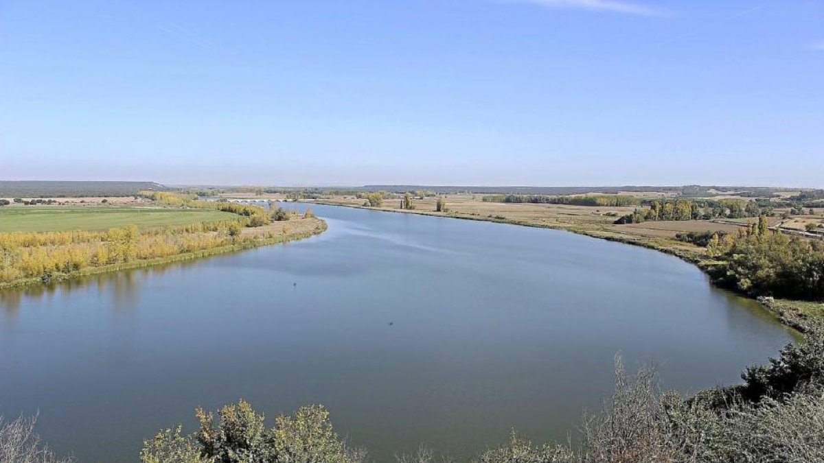 Panorámica del Duero en la Reserva Natural de las Riberas de Castronuño.-E. M.