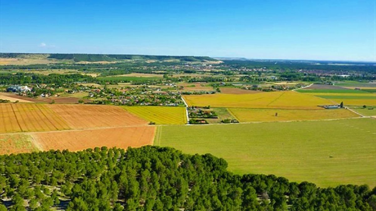 ‘Bocage’ Camino de los Aragoneses desde el pico de la Cuchilla.-EM