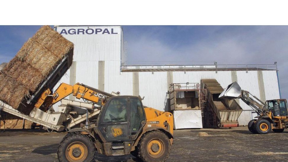Varios trabajadores en las instalaciones de transformación de paja y alfalfa de la cooperativa Agropal, en la localidad palentina de Villoldo .-ICAL