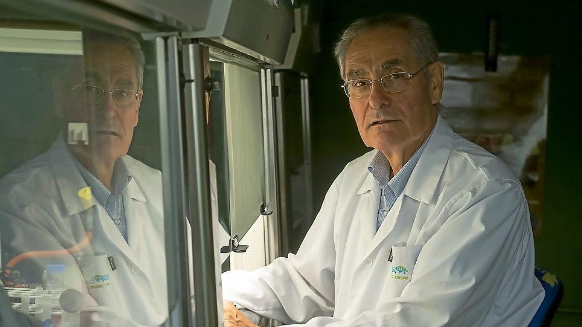 El investigador Mariano Sánchez en las instalaciones del Instituto de Biología y Genética Molecular de Valladolid.-PHOTOGENIC / PABLO REQUEJO