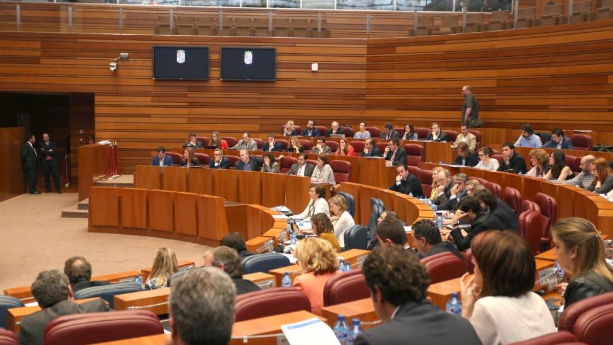 Pleno de las Cortes de Castilla y León.-ICAL