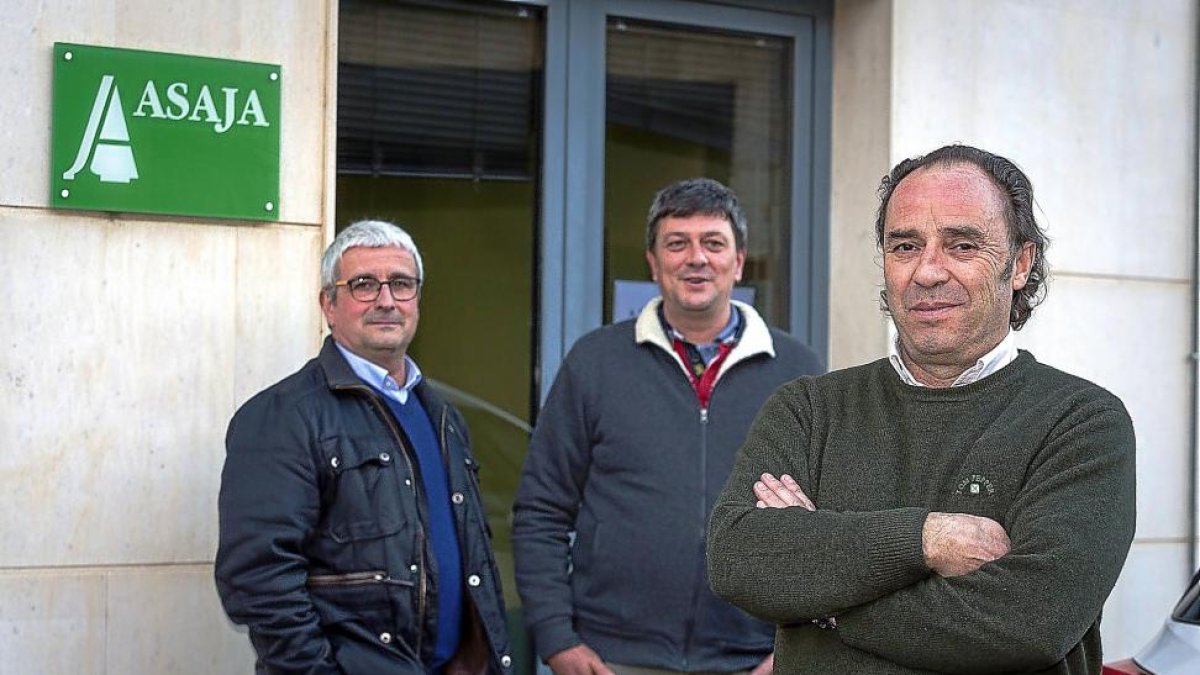Alonso (dcha.), ayer, tras la victoria en las elecciones, en la oficina de Rioseco con el vocal de su directiva Santos Argüello (izda.) y un técnico de Asaja.-MIGUEL Á. SANTOS (PHOTOGENIC)