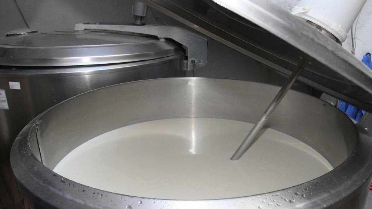 Leche almacenada en una explotación de la Comunidad. Las entregas siguen subiendo mientras los precios caen en España.-BRÁGIMO