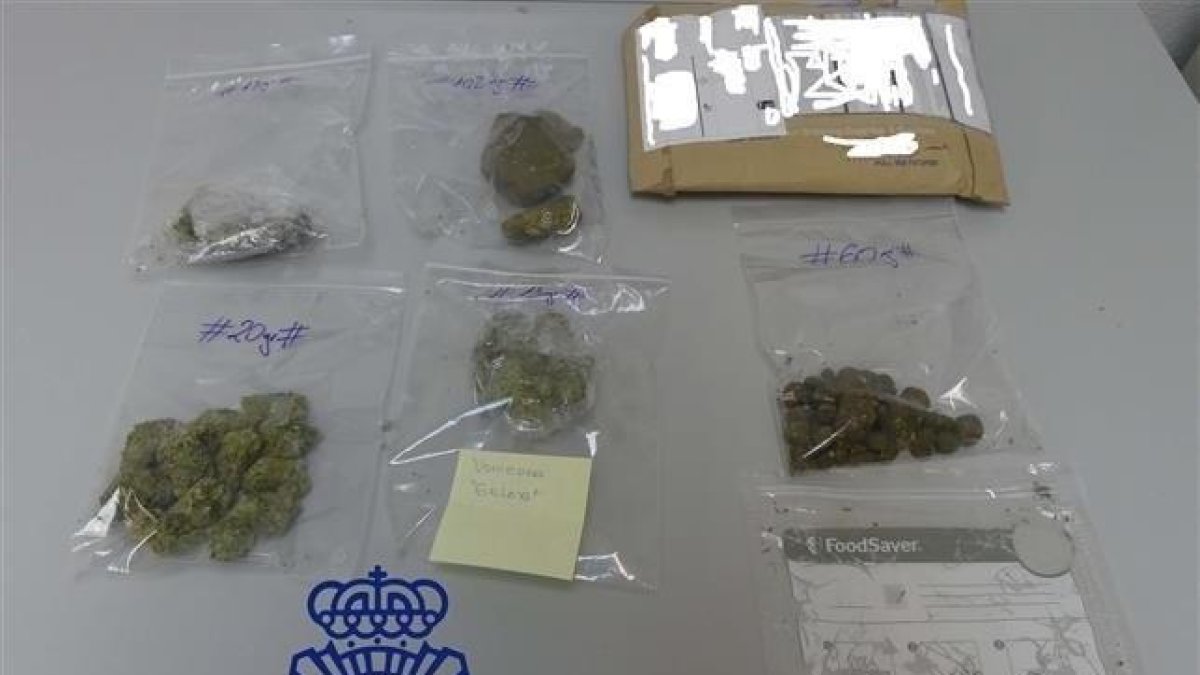 Droga incautada en un paquete postal llegado a Ávila desde Estados Unidos.-POLICÍA NACIONAL