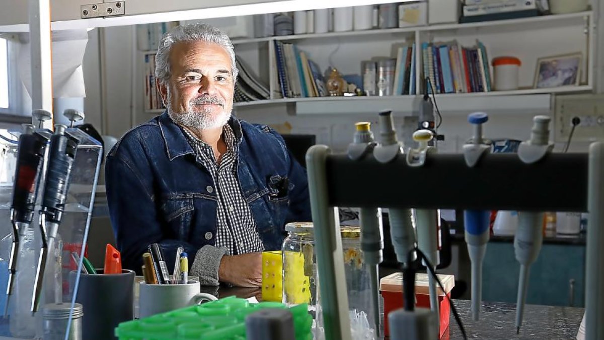 José Antonio Garrote en las instalaciones de la Facultad de Medicina de la Universidad de Valladolid.-J. M. LOSTAU