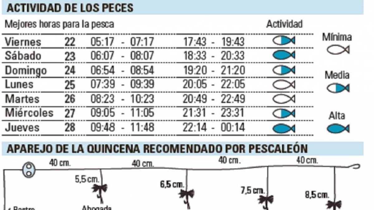 La semana de la pesca en Castilla y León-El Mundo de Castilla y León