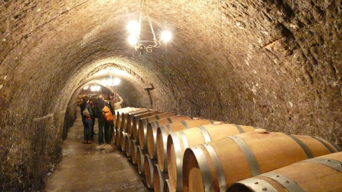 Un grupo de enoturistas visita la bodega tradicional de la Ribera del Duero.-L.P.