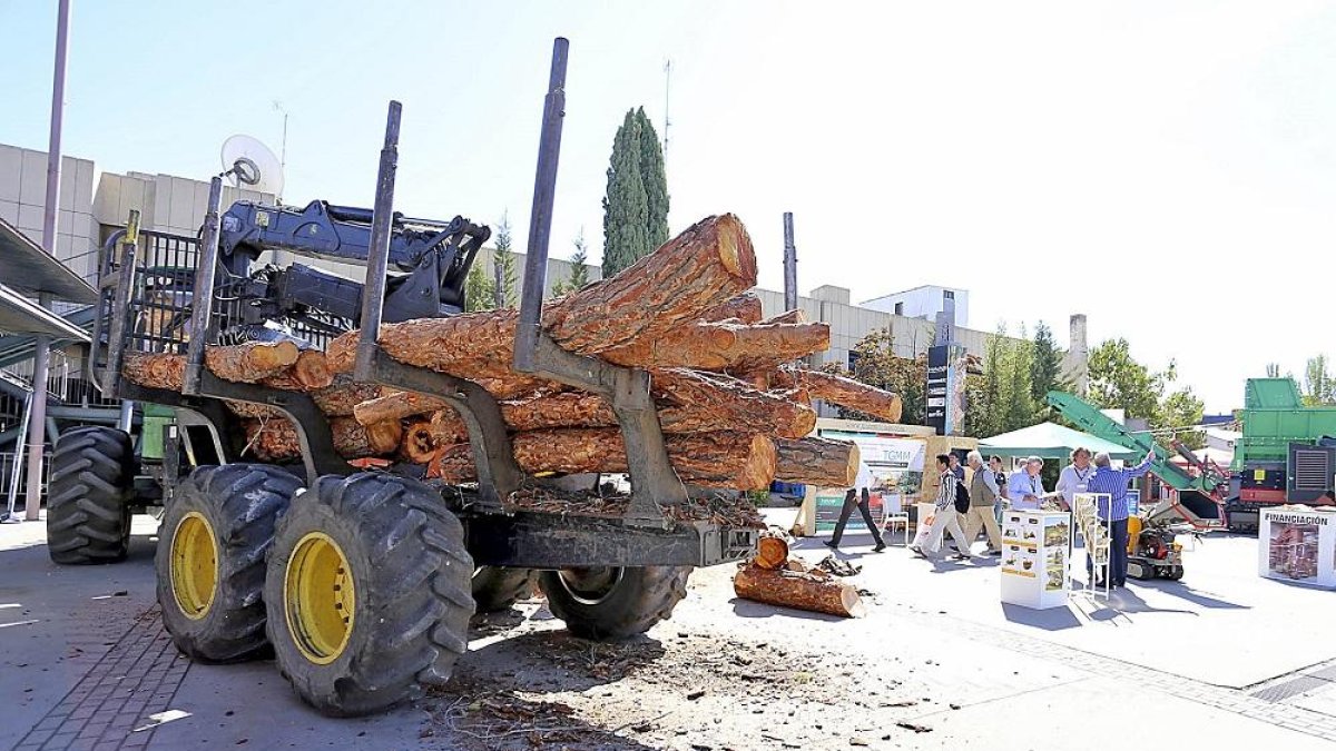 Un camión transporta un lote de troncos de árbol para efectuar una demostración de fabricación de ‘pellet’ en la pasada edicion de la feria ‘Expobiomasa’.-ICAL