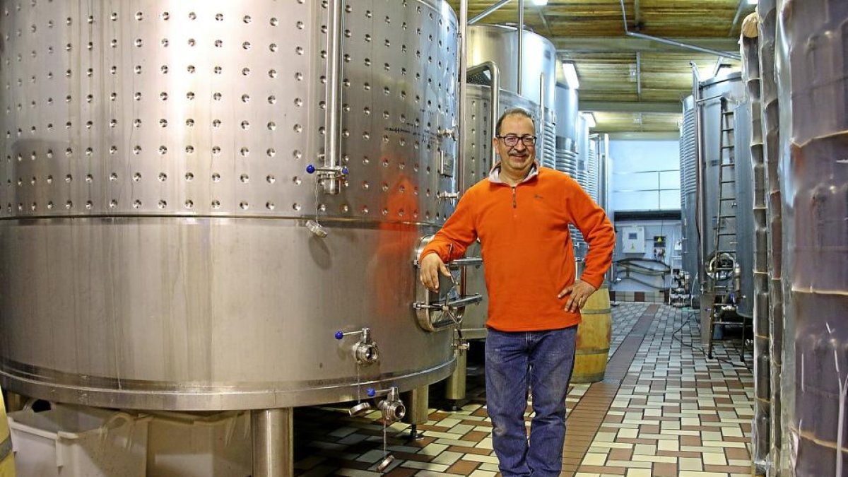 Antonio Polo junto a los depósitos de acero inoxidable de la bodega que elabora los tintos Pagos de Peñafiel. Abajo, una de las viñas.-M. T.