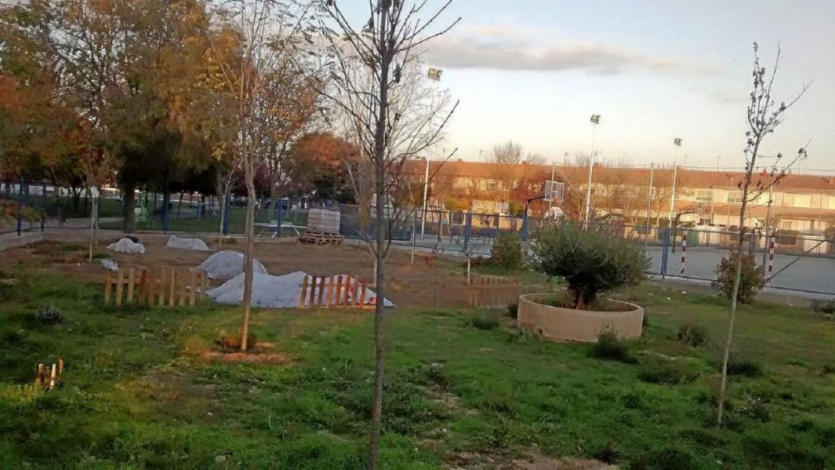 Huerto del colegio Nicomedes Sanz de Santovenia donde se plantea levantar un nuevo edificio.-E.M
