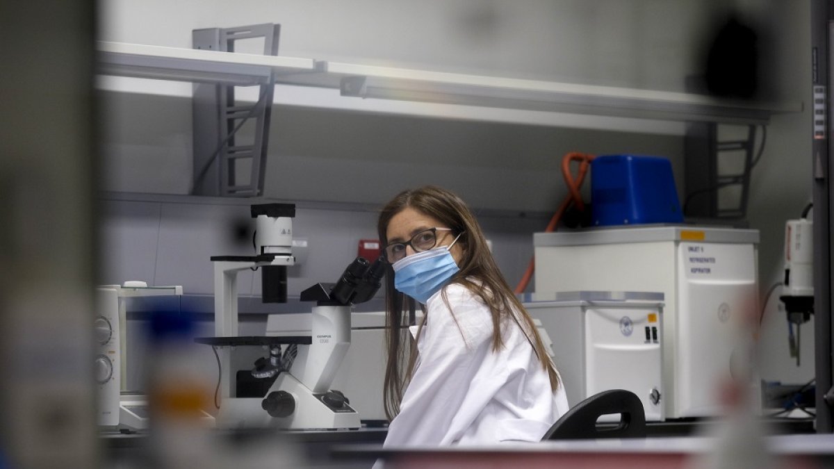 Maria Dolores Tabernero en el Instituto de Investigación Biomédica de Salamanca. / ENRIQUE CARRASCAL.