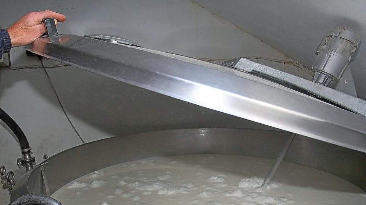 Un ganadero muestra una de los tanques de leche de su explotación.-BRÁGIMO