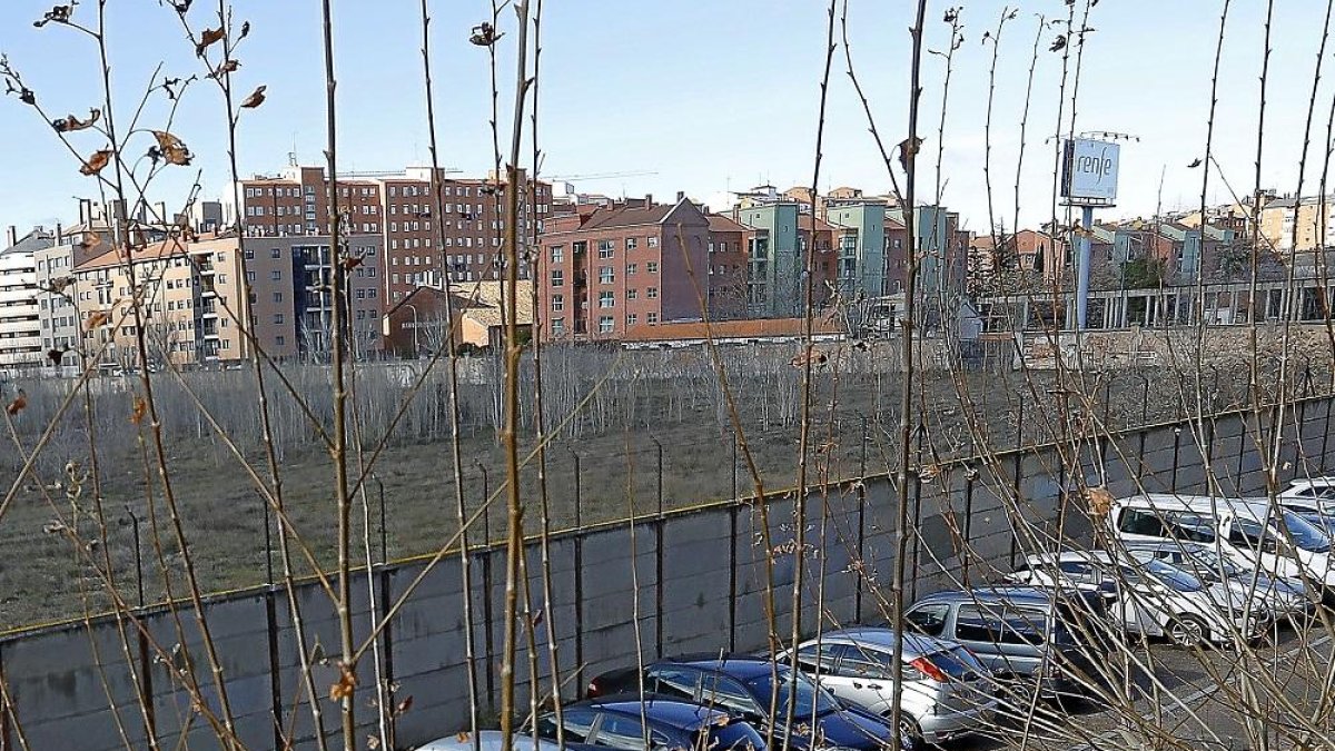 Terrenos más allá de los talleres de Renfe frente a la calle Nelson Mandela donde se planteaba la ubicación del gran centro de distibución de Amazon para Europa.-J.M. LOSTAU