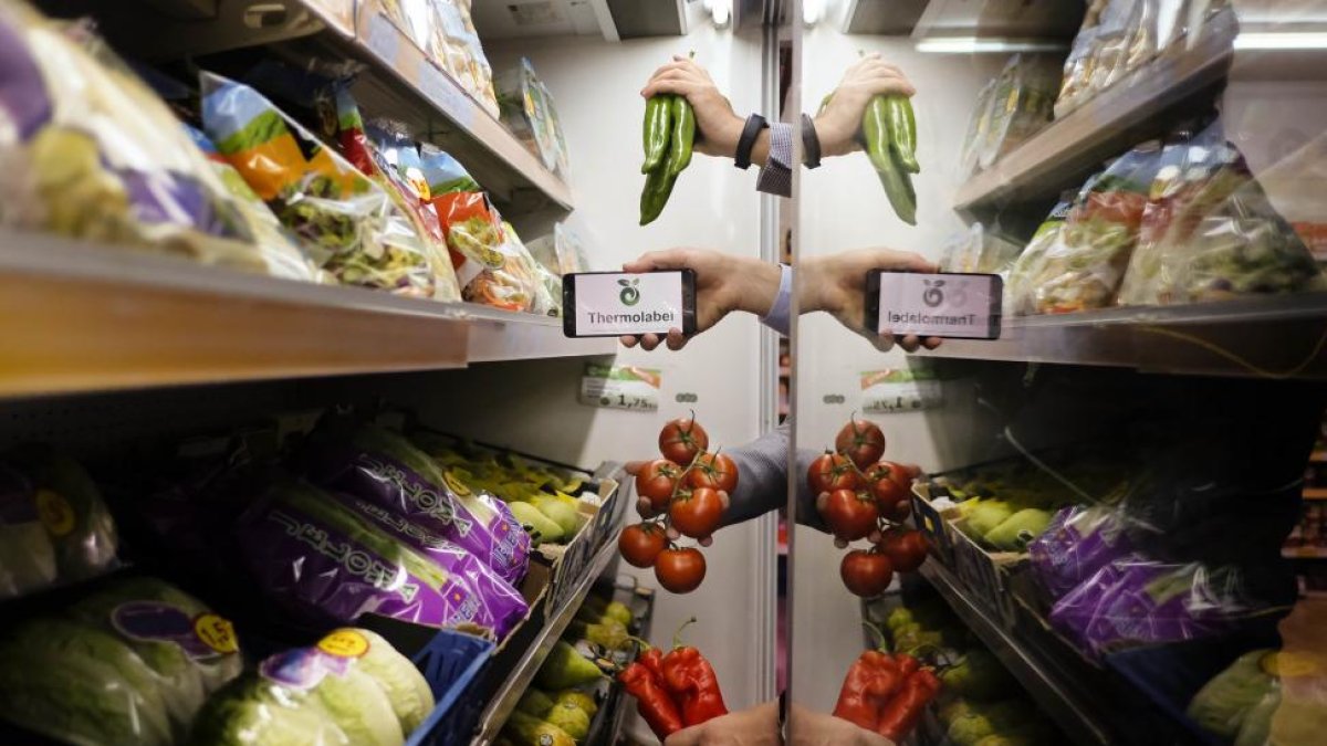 Una empresa ha creado un sistema que vigila las temperaturas de los productos perecederos.-ENRIQUE CARRASCAL