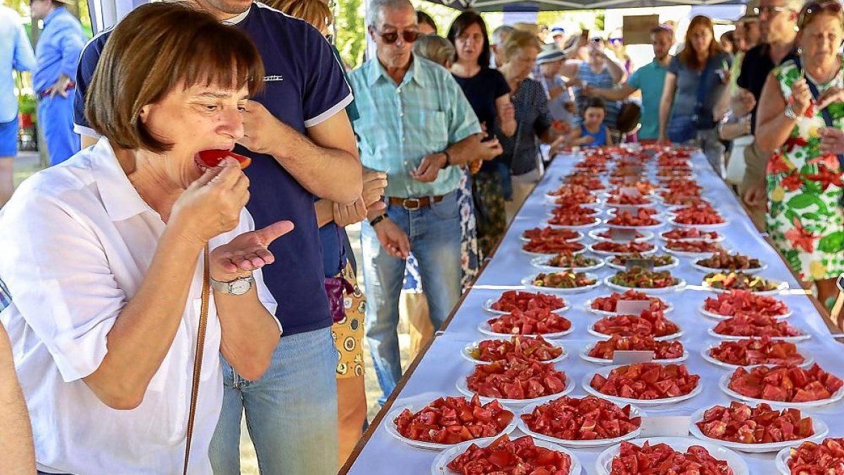 Vecinos de la localidad de Tudela de Duero catan las distintas variedades de tomates.-J.M. LOSTAU