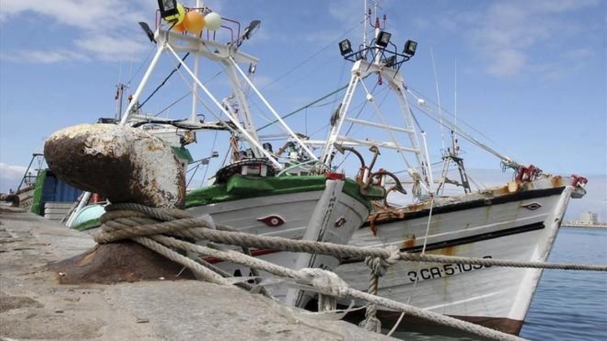 Pesqueros en el puerto de Barbate (Cádiz) que faenan en aguas de Marruecos.-ARCHIVO / EFE / A CARRASCO RAGEL