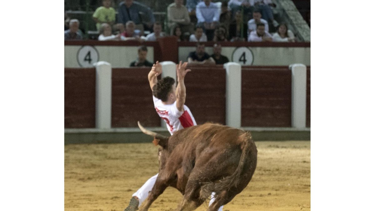 Concurso de Cortes de San Pedro Regalado.- JOSÉ SALVADOR
