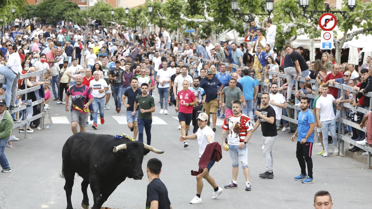 Encierro celebrado en Medina del Campo con motivo del Toro de la Feria 2022. Imagen de archivo. - J.M. LOSTAU