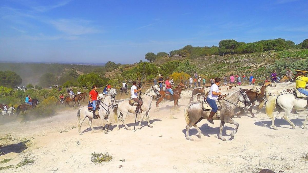 Algunos de los caballistas participantes en el encierro celebrado ayer en La Parrilla.-C.M.