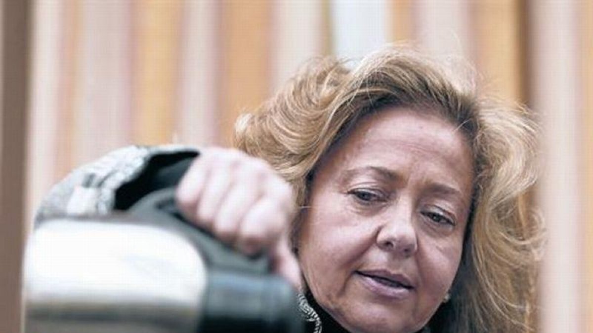 Consuelo Madrigal en una sesión de la Comisión de Justicia del Congreso.-DAVID CASTRO