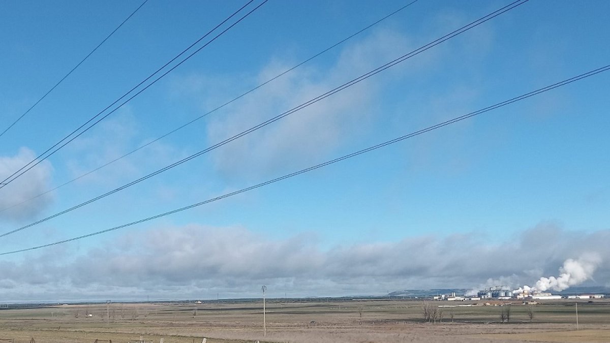 Terrenos del coto de Olmedo en el que ha aparecido veneno. -E.M