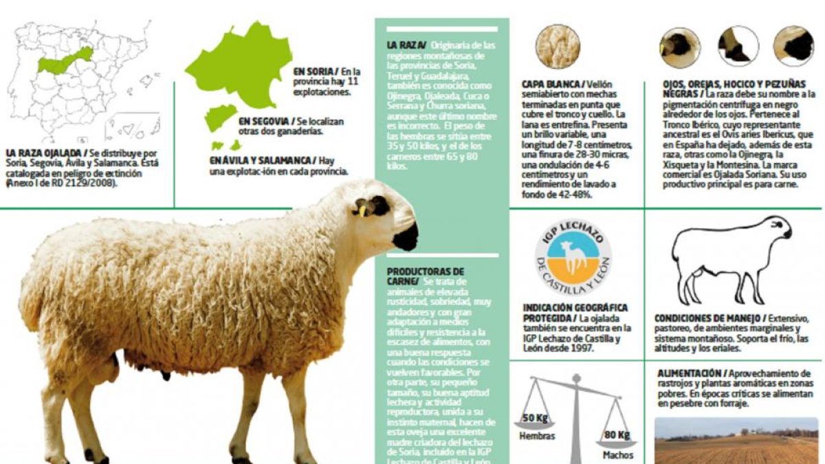 -EL MUNDO DE CASTILLA Y LEÓN