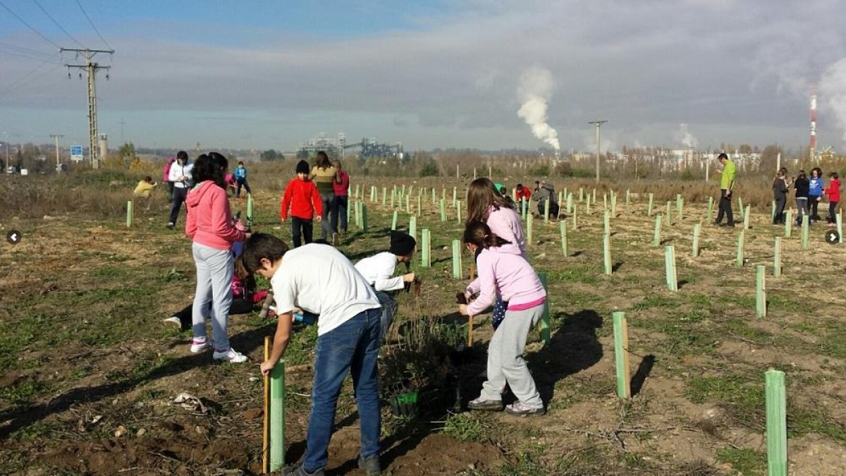 Un grupo de alumnos del CEIP Isabel La Católica planta árboles en el Jardín de los Sueños, situado en el Soto de la Medinilla.-EL MUNDO