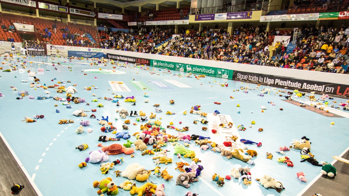 Peluches en Huerta del Rey.