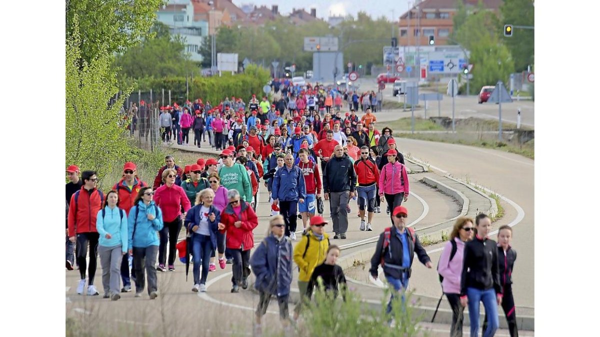Los participantes recorren la carretera de Rueda, camino del Pinar de Antequera.-ICAL