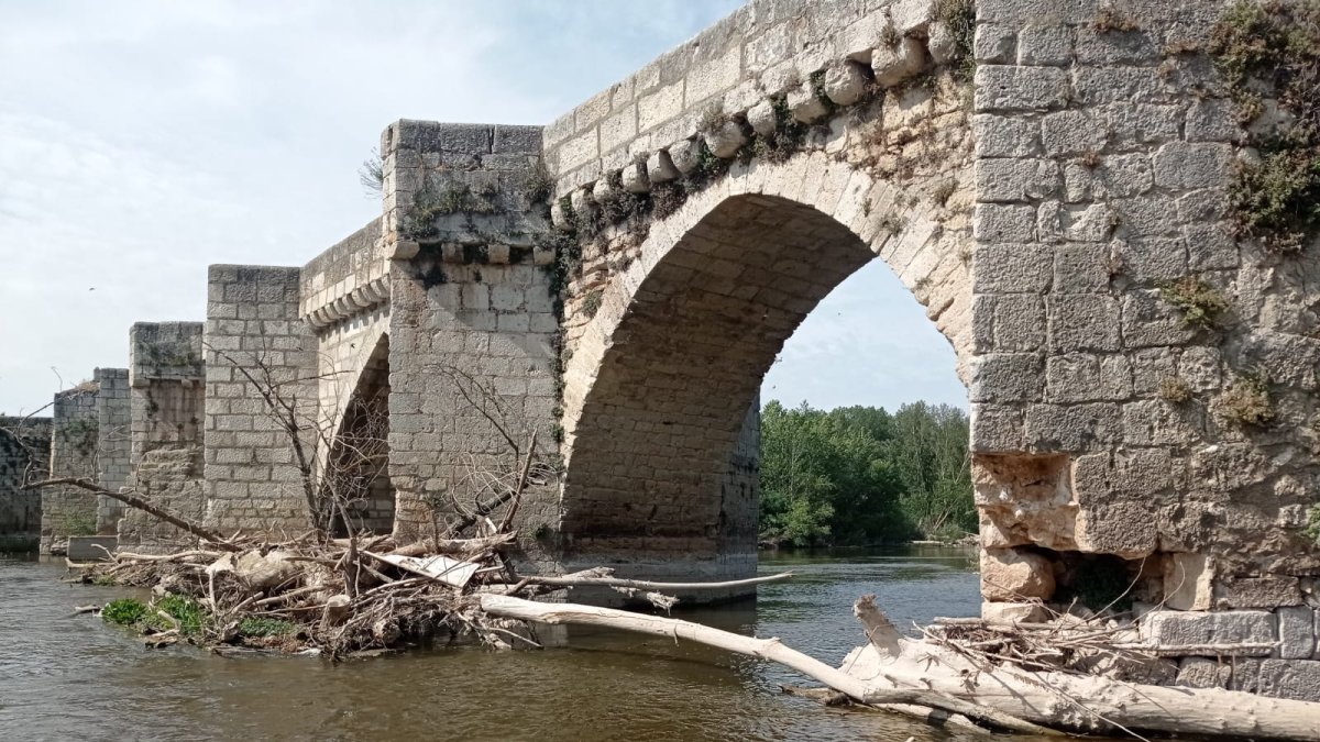 Troncos apilados alrededor del puente de Simancas. -LEONARDO DE LA FUENTE
