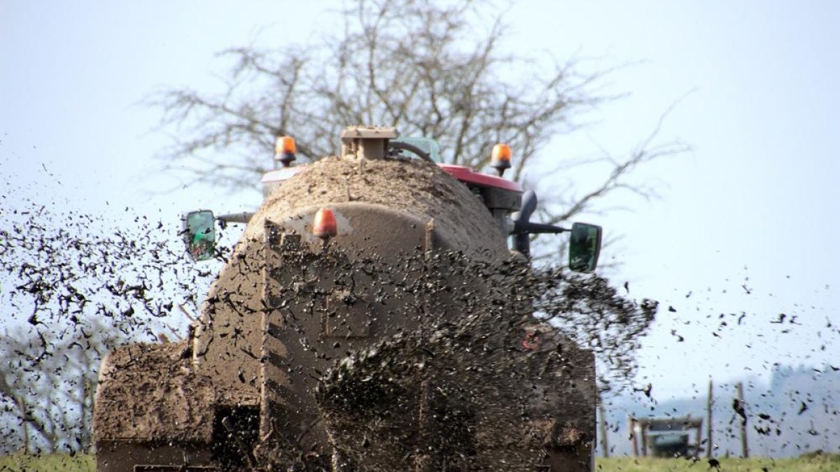 Un agricultor esparce purines en su explotación agrícola.-ECB