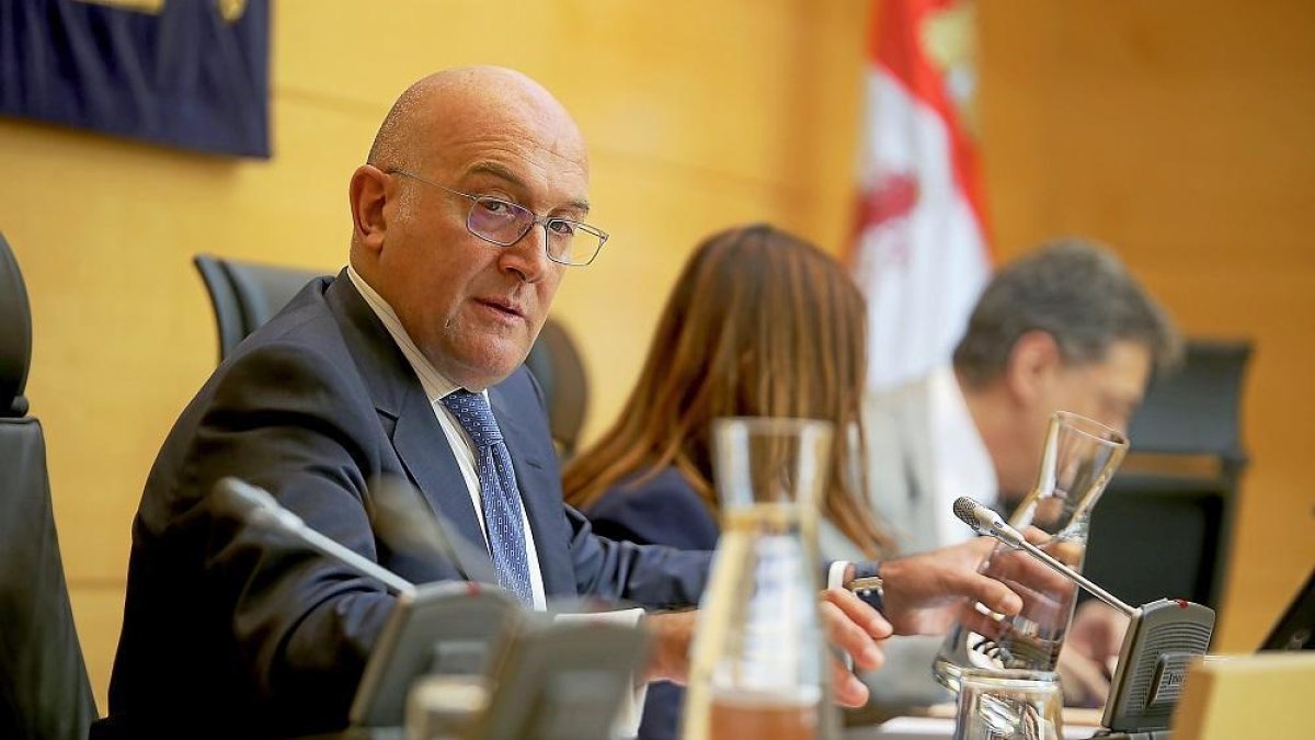 El consejero de Agricultura, Ganadería y Desarrollo Rural, Jesús Julio Carnero, durante su comparencia en las Cortes.-ICAL