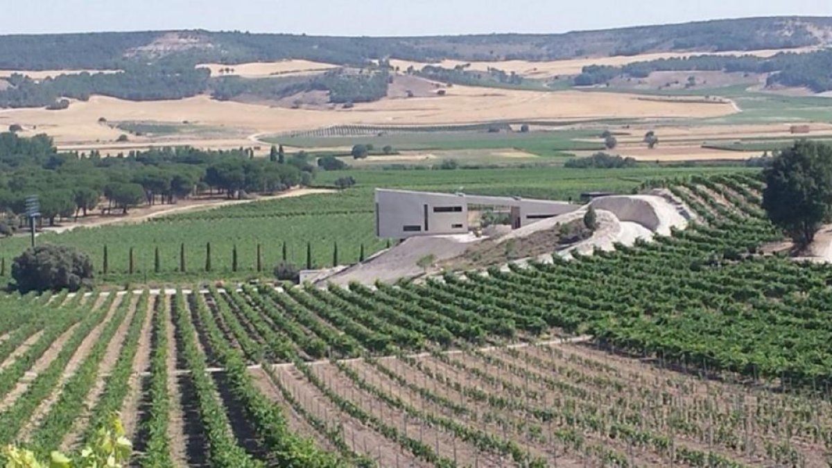 Vista de la bodega ecosostenible de Valdemonjas, finalista en el concurso mundial de arquitectura ‘Architzer A’, en el municipio de Quintanilla de Arriba.-E. M.