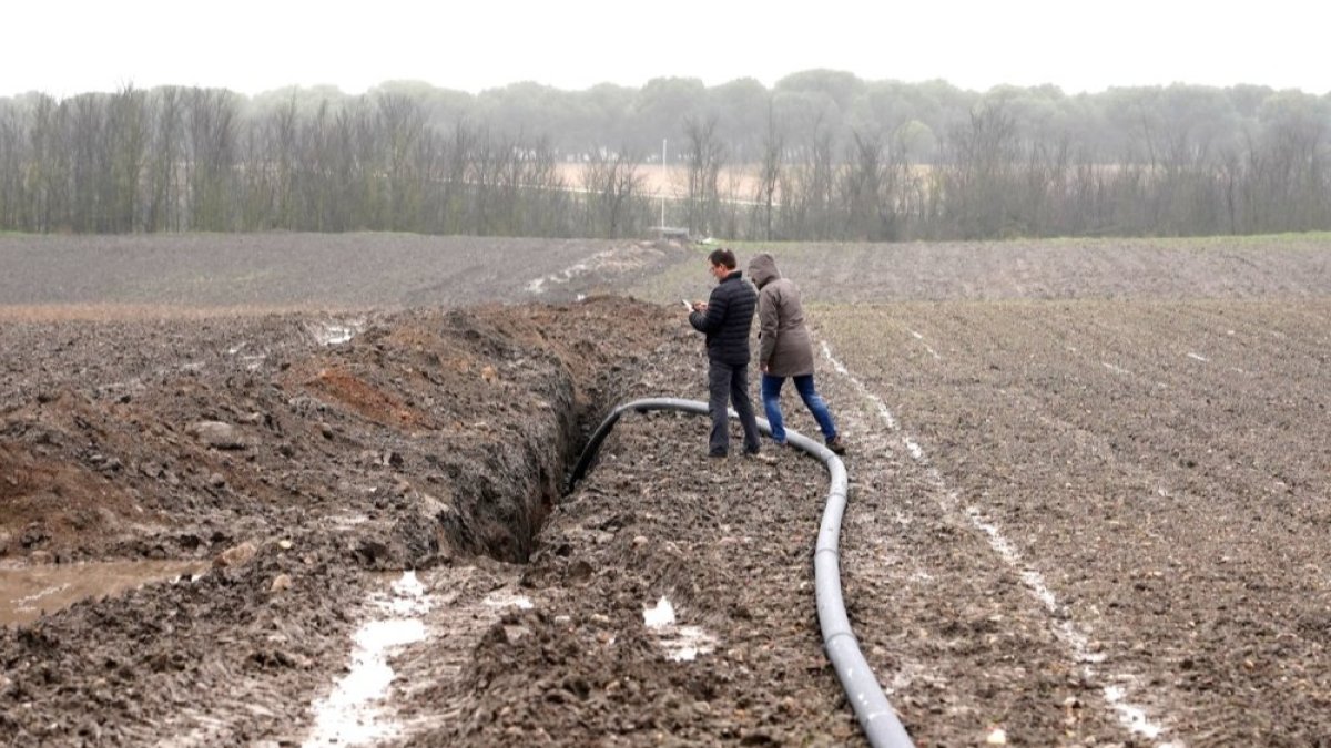 Yacimiento vacceo de Pintia, en Padilla de Duero. ICAL