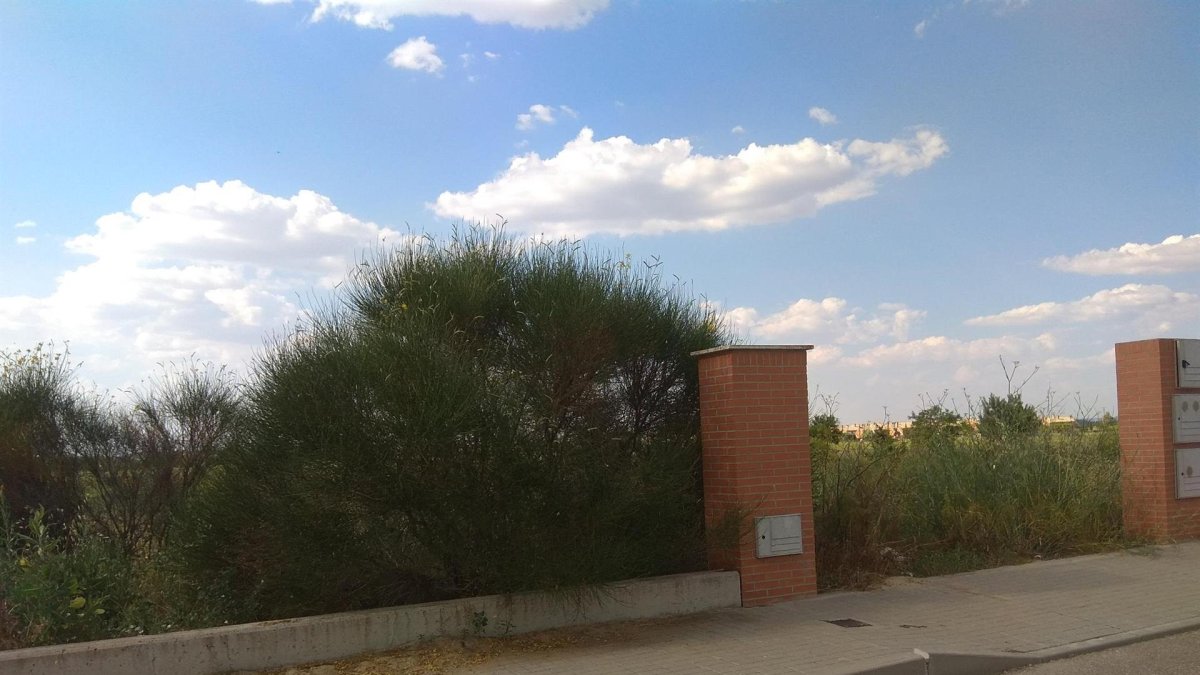 Estado de una de las parcelas en la Urbanización Golf de Aldeamayor, en una imagen de archivo. / E. PRESS