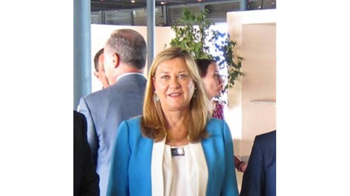 La consejera de Economía y Hacienda de la Junta de Castilla y León, Pilar del Olmo.-EUROPA PRESS