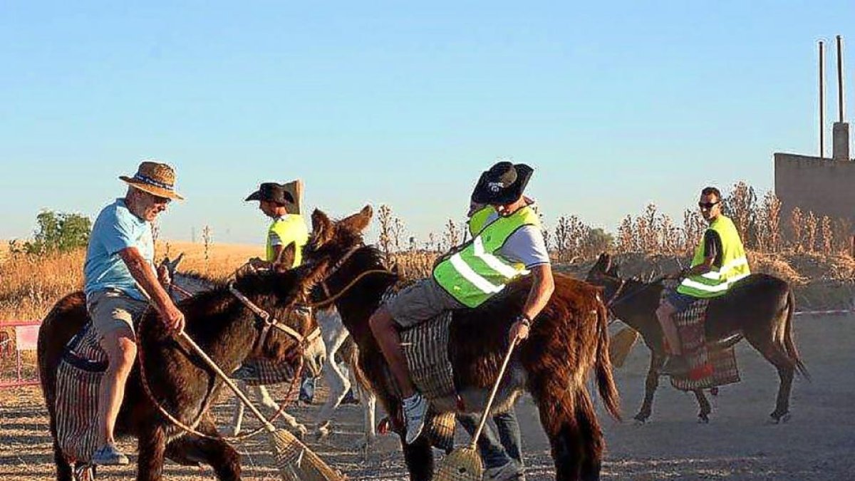 Campeonato mundial de ‘burro polo’ en una anterior edición.-EL MUNDO