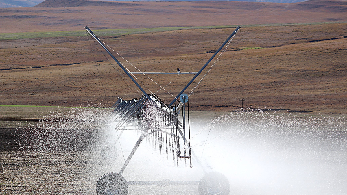 Pivot de riego en funcionamiento en un cultivo. PQS / CCO