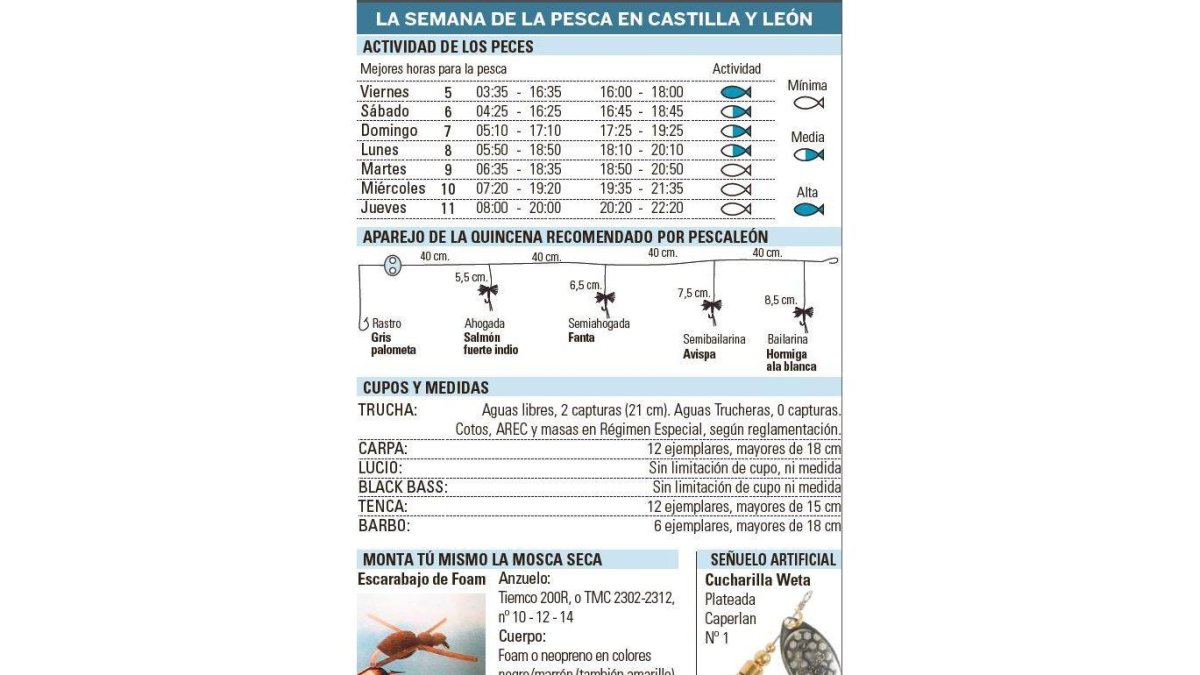 -EL MUNDO DE CASTILLA Y LEÓN