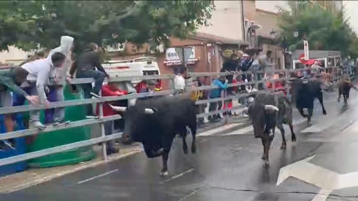 Último encierro tradicional de Medina del Campo. E.M.