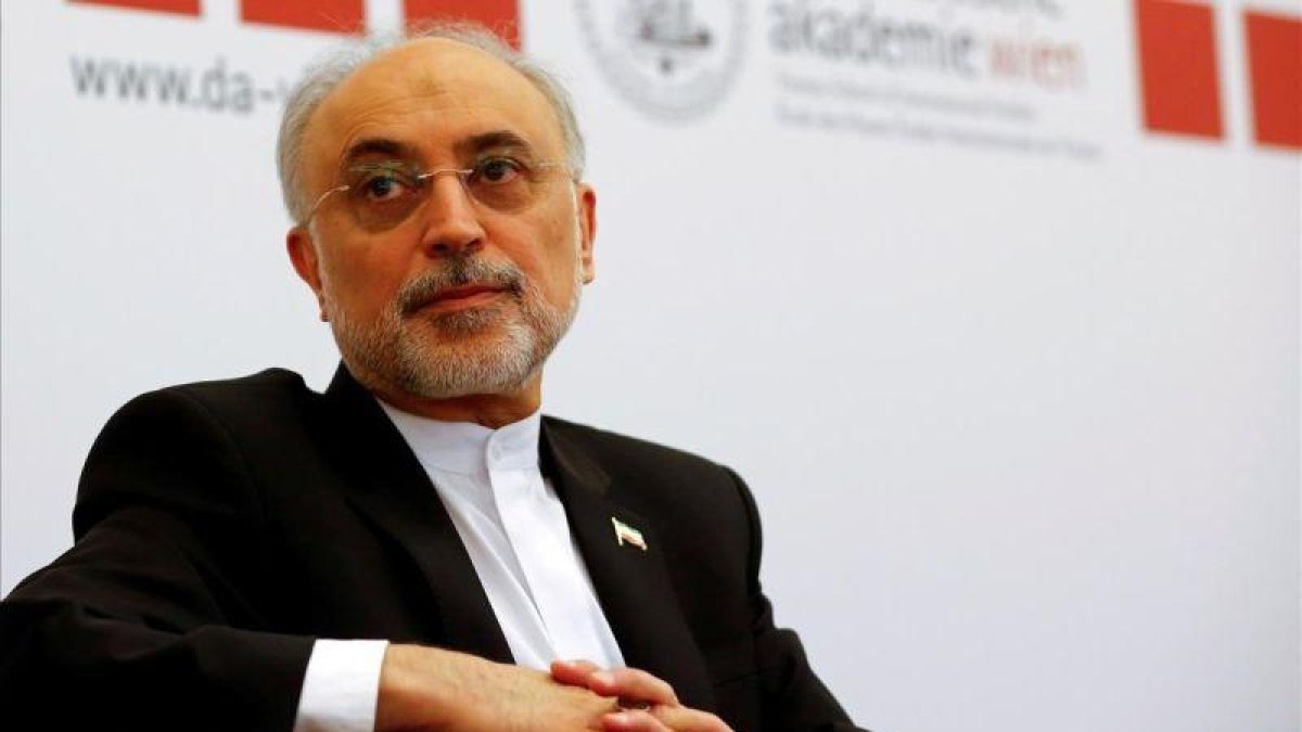 Ali Akbar Salehi, responsable de energía atómica de Irán.-REUTERS / LEONHARD FOEGER
